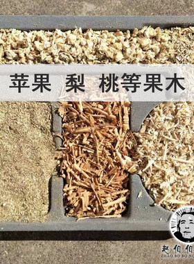 果木 苹果梨树桃树核桃石榴橡树枣树杏树酸枣 加工多规格试验料