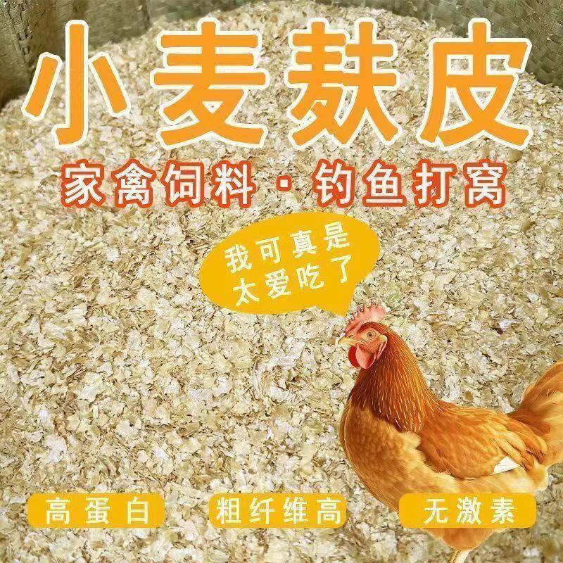麦麸热敷钓鱼打窝饲料添加剂