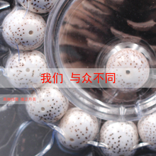 念珠佛珠文玩手珠 海南順白星月菩提子手串男單圈手鏈男女款