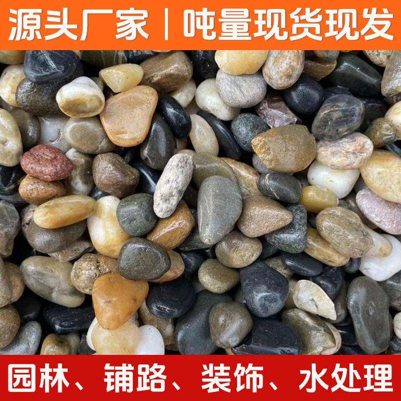 现货鹅卵石精选庭院过滤铺路鱼缸造景天然小碎石子花园装饰景观石