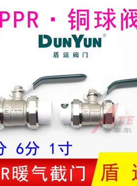 盾运阀门全铜PPR双头活接铜球阀热熔管阀门4分6分1寸水管DN405063