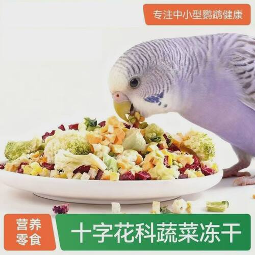 鹦鹉冻干蔬菜水果蔬菜冻干零食营养饲料虎皮牡丹玄凤鸟粮训练奖励