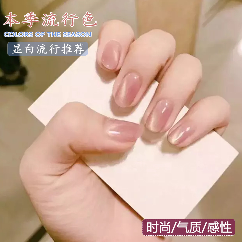 甲油胶新款透色猫眼赠送磁铁