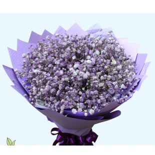 中牟县世纪城杉杉奥特莱斯九龙镇雁鸣湖镇鲜花店母亲节配送玫瑰