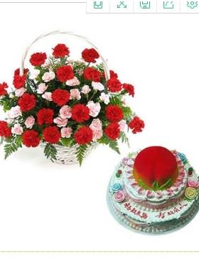 容城县容城镇小里镇南张镇大河镇母亲节鲜花店配送情人节玫瑰