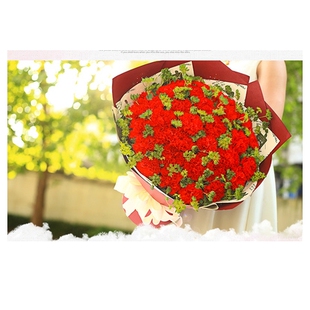 安阳文峰兴隆街德隆西街一中相州小区万意广场鲜花店蛋糕配送玫瑰