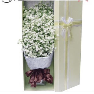 北京东城区前门南锣古巷/鼓楼后海鲜花店康乃馨速递玫瑰情人节