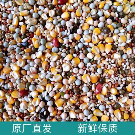 枭龙厂家直销营养Q3信鸽带玉米粮鸽子类饲料鸟食50斤江浙沪皖包邮