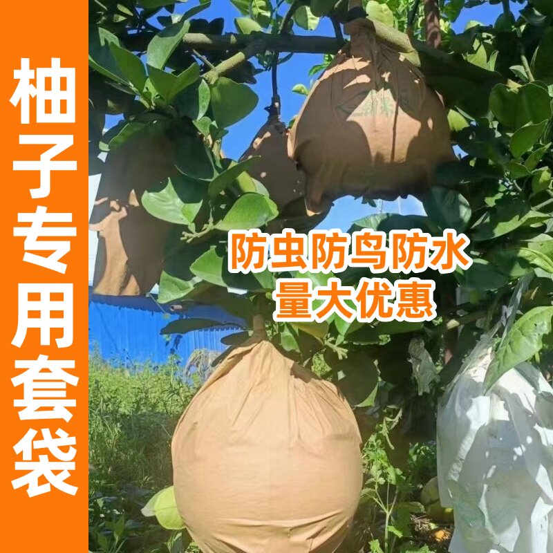 文旦套袋柚子纸袋防虫防鸟沙田红心蜜抽子保护罩包树上水果三葡萄