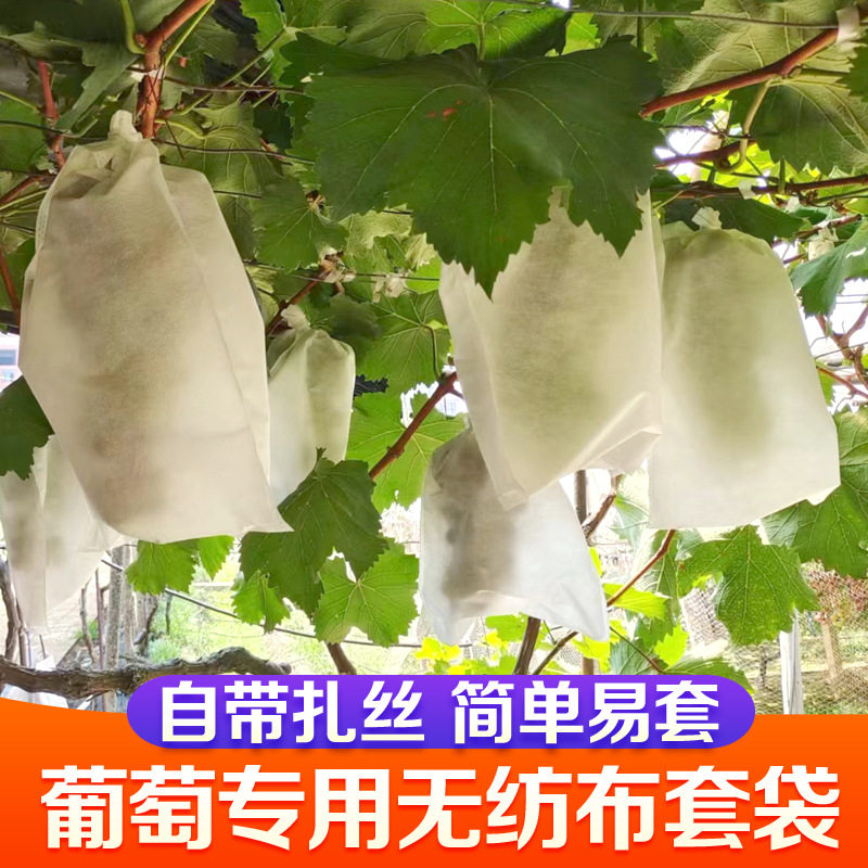 无纺布葡萄套袋子专用防果蝇防虫鸟透气种巨峰露天神器防水雨绿色