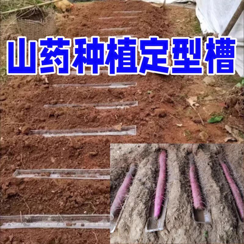 种山药托盘的定向槽模具管怀淮山
