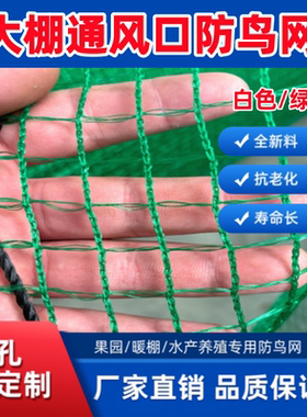 大棚通风口防鸟网放风方格专用网