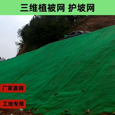 护坡固土网山体滑坡防护网垫布