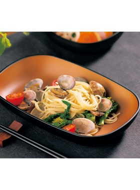 日本代购HAKOYA samon磨砂 托盘 收纳盘 果盘 塑料长形盘