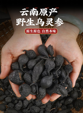 新疆包邮乌灵参雷震子乌丽参鸡枞蛋云南野生500g地炭棍鸡茯苓吊金