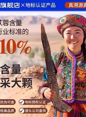 肉苁蓉整根阿拉善内蒙古荒漠苁蓉片可搭锁阳野生淫羊藿泡酒中药材