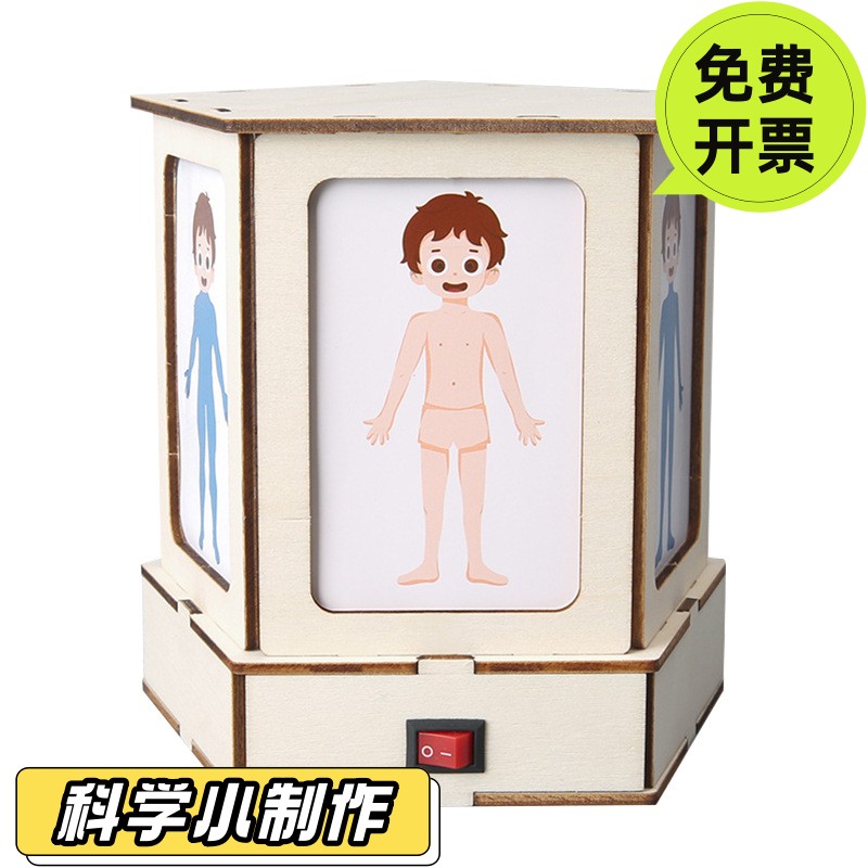 科技小制作人体结构观察灯认识人体器官科学实验stem儿童手工SD47