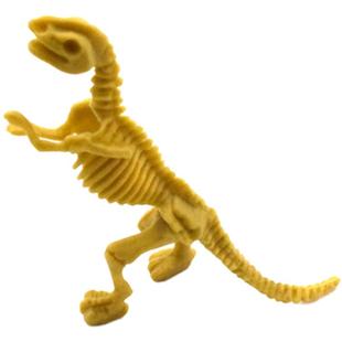 仿真12款 恐龙骨架模型恐龙玩具霸王龙三角龙白色骨架考古认知儿童