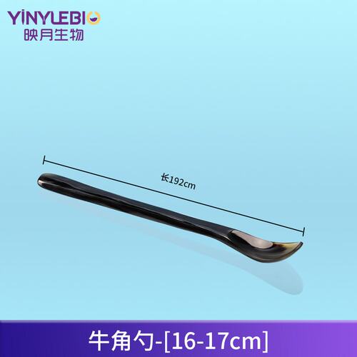 实验室牛角药勺 规格齐全12cm14cm15cm18cm20cm抛光天然牛角QW56