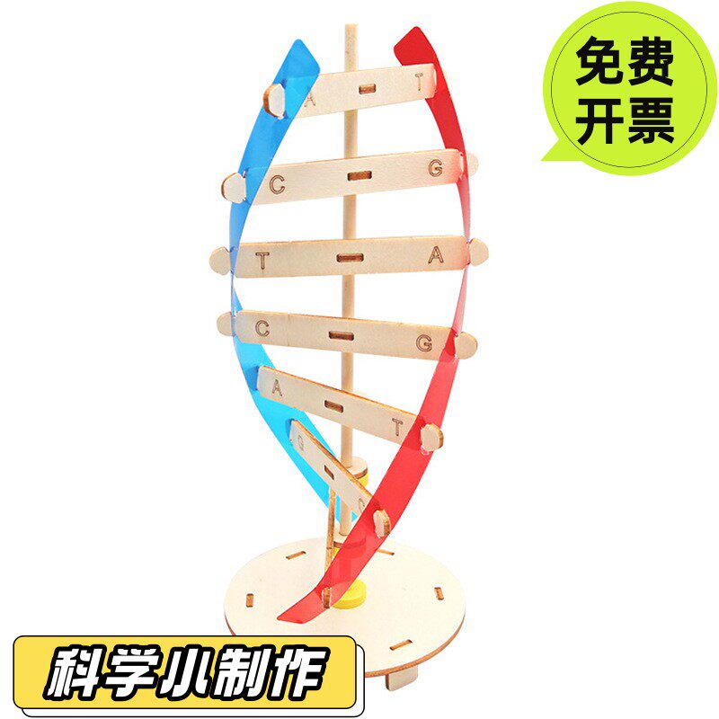 DNA双螺旋结构模型小学科学初高中生物教学实验器材分子结构SD19