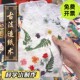 古法造纸术套装 材料四大发明花草纸儿童非遗手工diy团建暖场活动