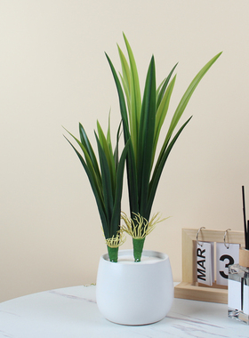 假花装饰蕙兰叶子仿真叶蝴蝶兰假叶长绿叶插花叶兰花叶草长枝剑叶