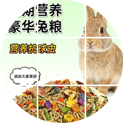 垂耳兔幼兔成兔专用主粮