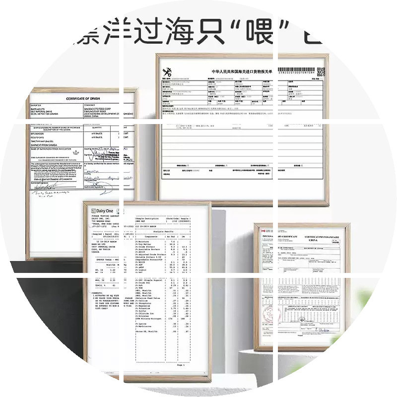 黄金燕麦提摩西苜蓿纯叶干草
