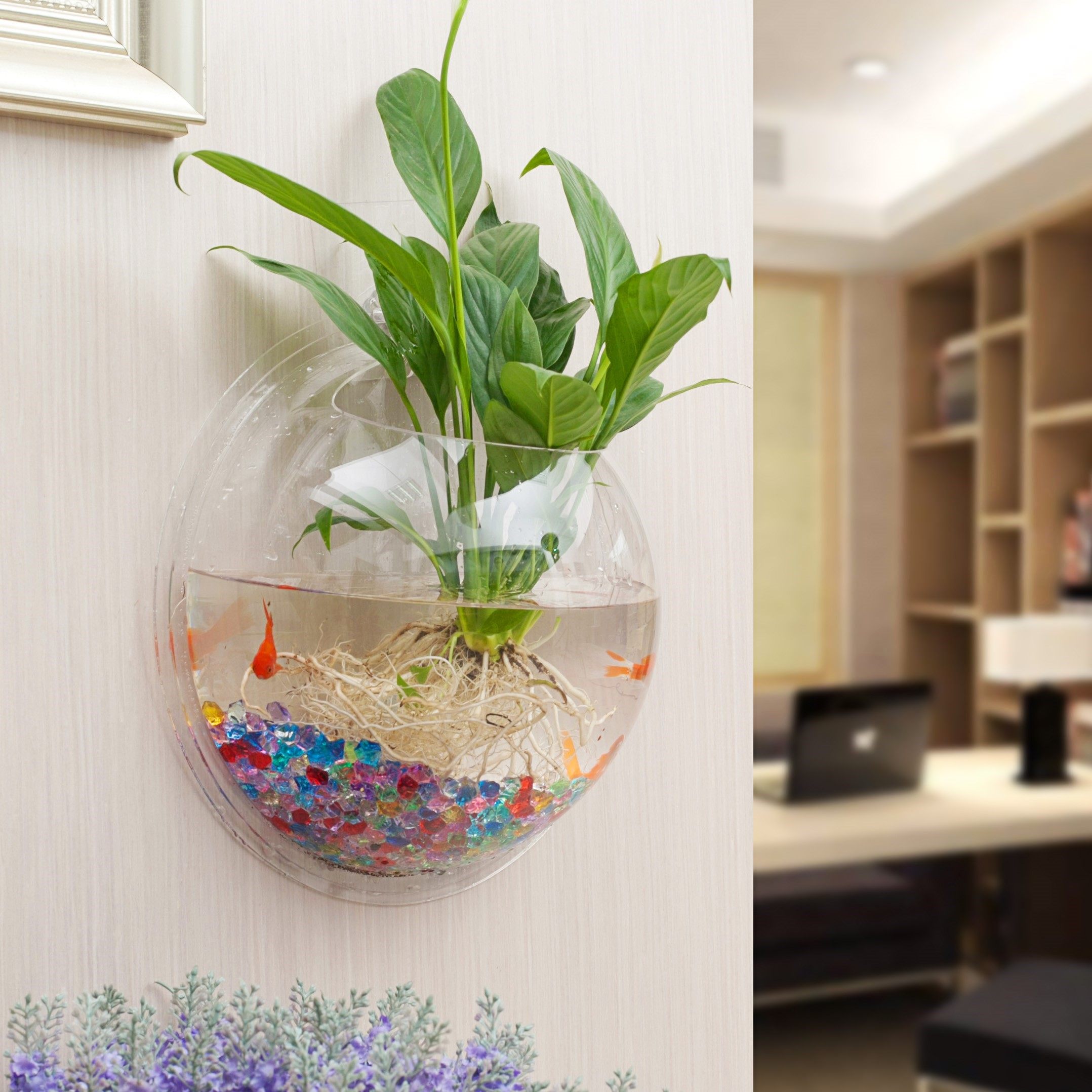 墙壁挂水培花瓶植物塑料瓶透明容器悬绿萝挂墙小花盆水养鱼缸吊瓶在类目 家居饰品, 壁饰中 - 来自Buy2taobao.com提供专业的淘宝代购服务