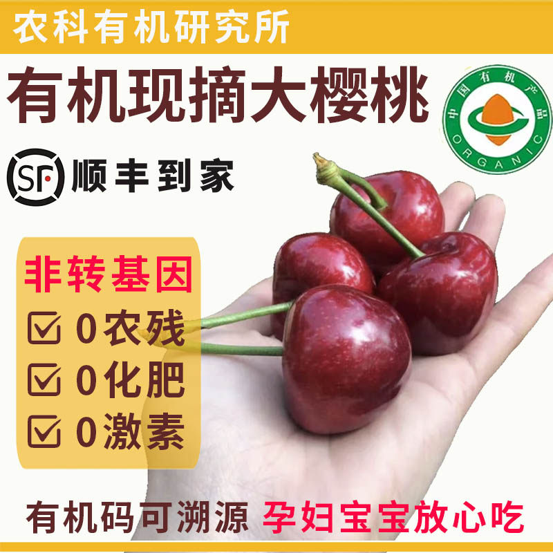 有机山东大樱桃【顺丰到家】烟台健康无农残孕妇宝宝水果