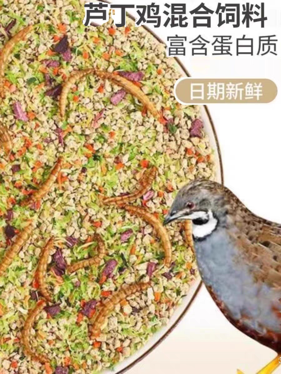 芦丁鸡鹌鹑专用饲料加面包虫蔬菜干昆虫高蛋白产蛋饲料育雏饲料粮