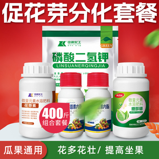 花芽素促花芽分化水溶肥套餐催花剂坐果专用叶面肥诱导素打破休眠