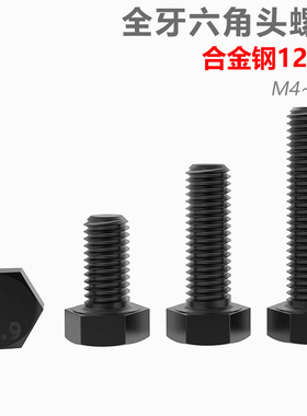 CZ五金高强度12.9级全牙外六角螺栓M4-M30加长六角头螺丝全螺螺杆