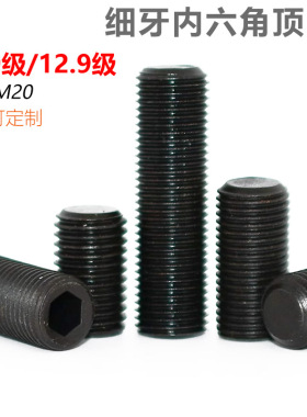 CZ五金10.9级12.9级细牙内六角平端紧定螺丝凸端幼牙无头细丝止付