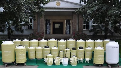 亚西液氮罐大口径液氮罐10升便携