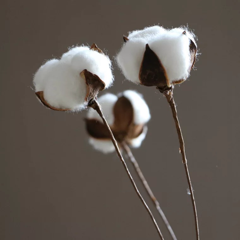 麻布幼儿园装饰环创棉花环创材料