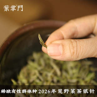 【预·2026荒野菜茶银针仅10斤】荒野菜茶银针 稀缺有性群体种
