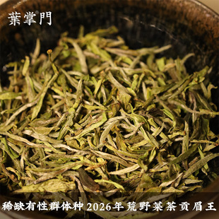 【预·2026荒野菜茶贡眉王仅10斤】荒野菜茶贡眉王稀缺有性群体种
