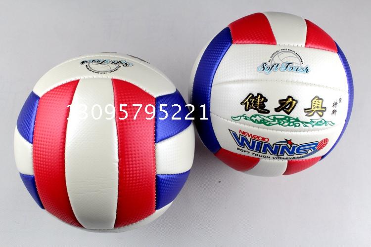 Ballon de volley - Ref 2012604 Image 3