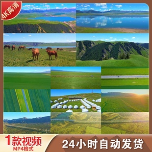 高清山丹军马场祁连山山丹马场河西走廊鸾鸟湖万马奔腾视频素材