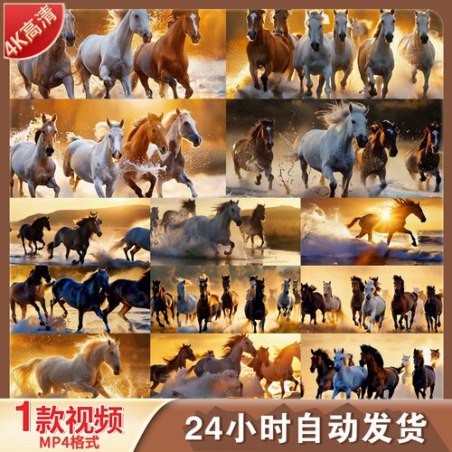 高清宝马骏马奔腾万马奔腾马到成功拼搏进取励志奋斗视频素材