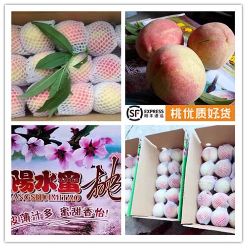 正宗穆阳水蜜桃水蜜桃福安桃子虎头水蜜桃当天新鲜采摘发货