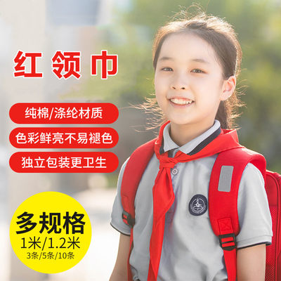 得力红领巾小学红领巾礼物