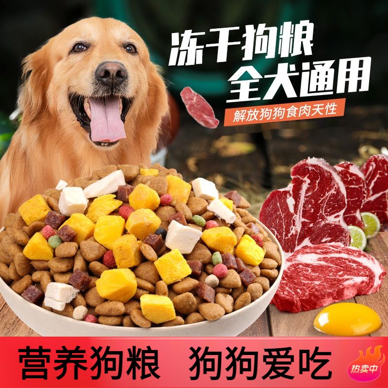 柴犬狗粮幼犬成犬40斤中华田园犬秋田犬粮10斤装宠物主食狗粮营养