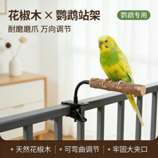 鹦鹉垃圾桶站杆夹子站架定点排便互动拉屎多功能小鸟拉粑粑创意
