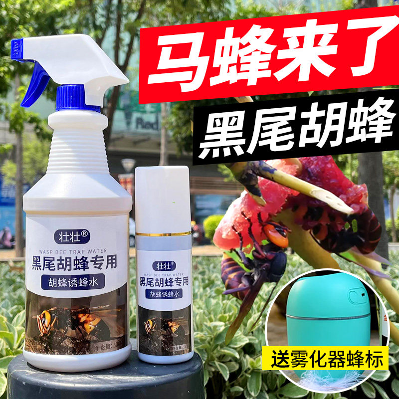 马蜂诱蜂水金环诱蜂水红娘黑尾黄腰马蜂服野外招胡蜂专用引蜂水,传统滋补营养品,蜂蜜糖/蜂制品,淘宝优惠券,粉丝福利购,淘宝优惠卷