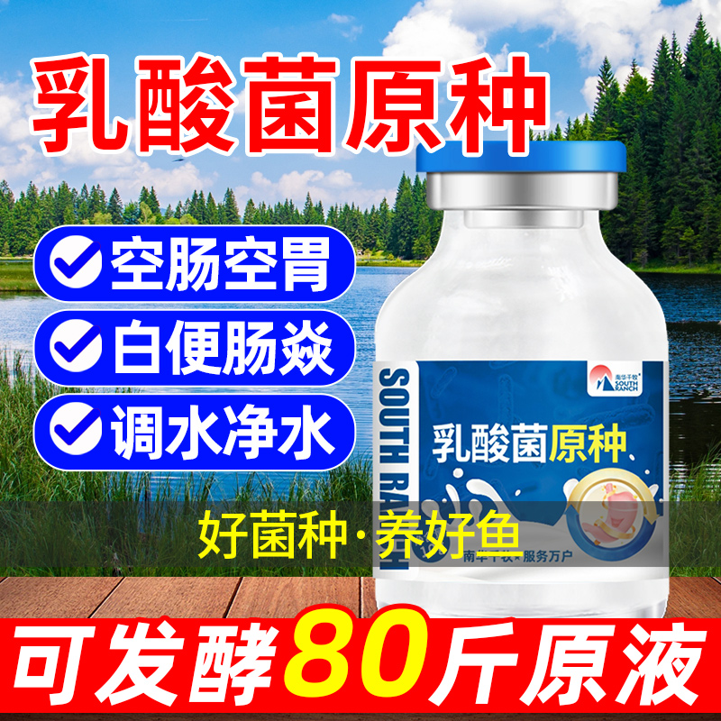 乳酸菌水产养殖专用菌种虾蟹鱼塘益生菌浓缩粉降PH氨氮乳酸菌原种