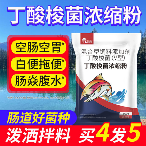 酸梭菌水产养殖专用em益生菌原种