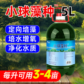 浓缩小球藻藻种藻类培养基鱼塘肥水培藻增氧水产养殖复合小球藻种