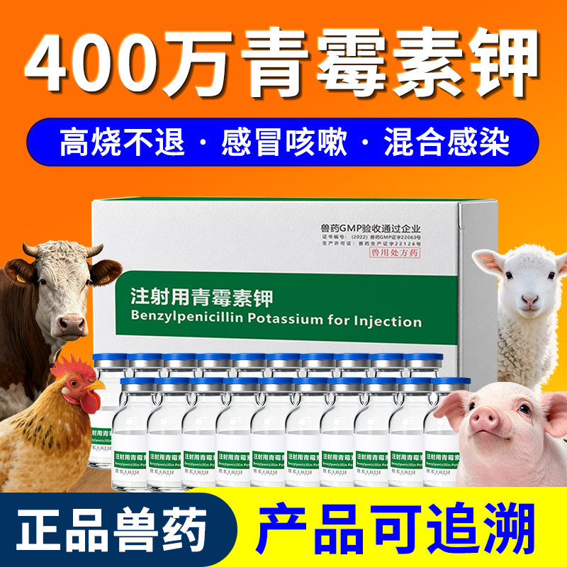 注射用青霉素钾兽用400万单位牛羊猪用鸡鸭鹅狗抗菌消炎正品兽药图片
